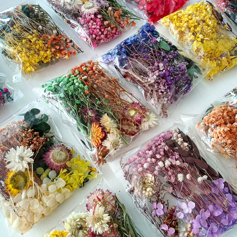 1pack Multifarious Dried Flowe - Craft Embellishment 评论和价格